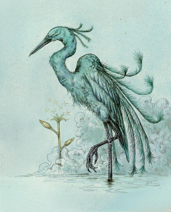 Egret - Intuition