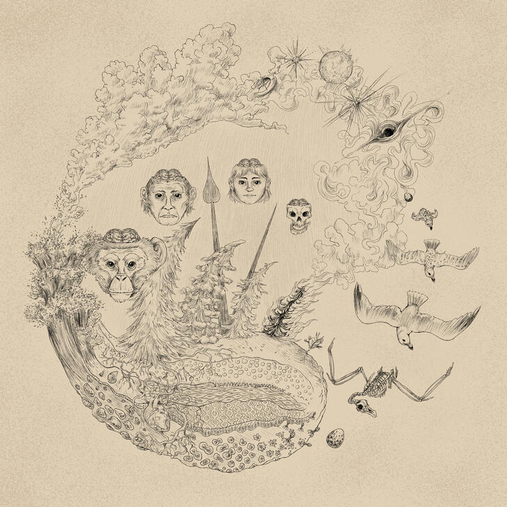 Natural Cycles