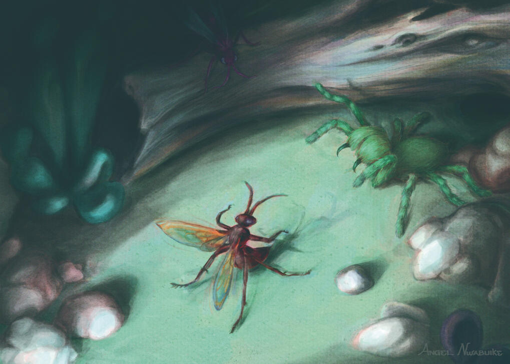 Body Snatchers