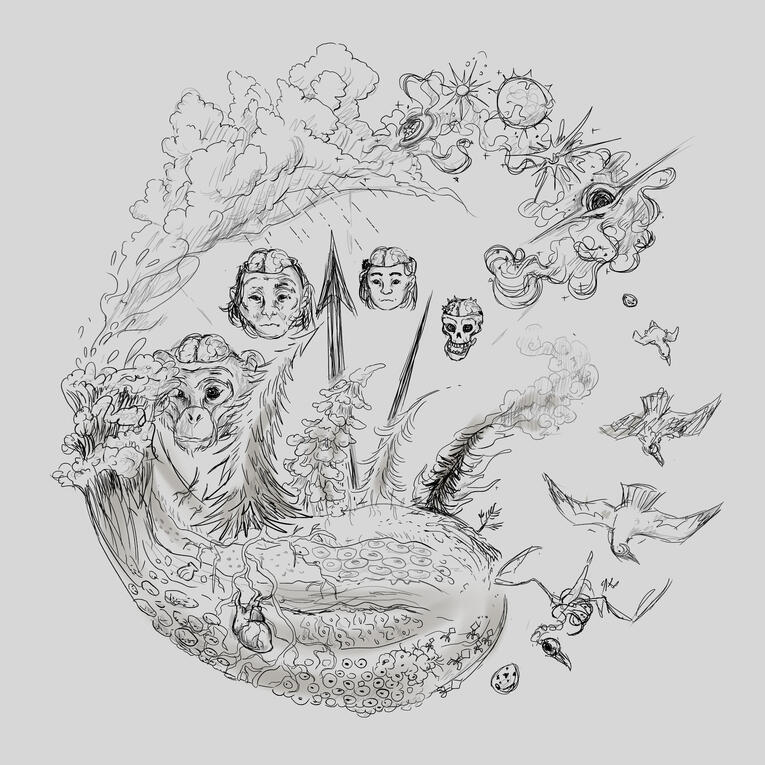 Natural Cycles - Process