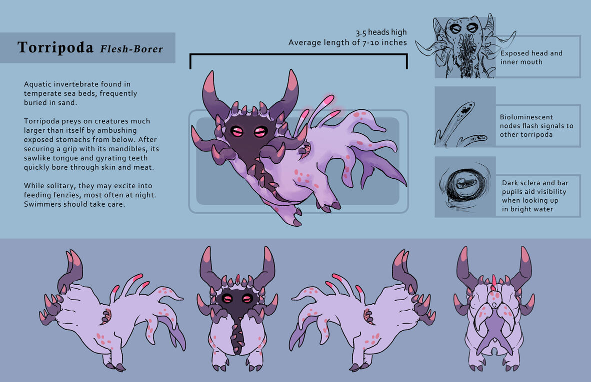 Torripoda - Reference Sheet